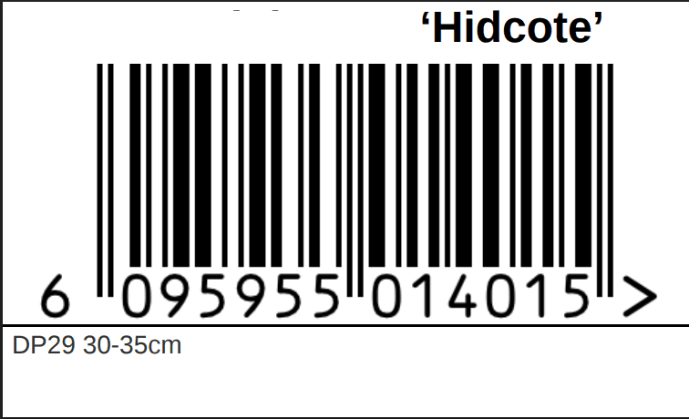 Generated product label with EAN-13 barcode showing variety name and size